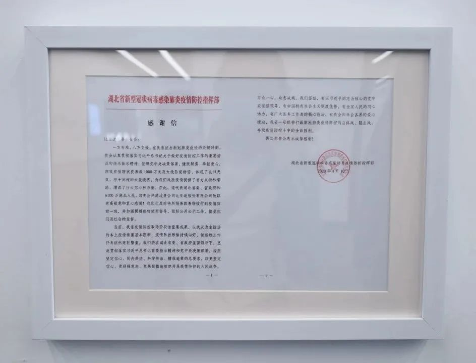 45081