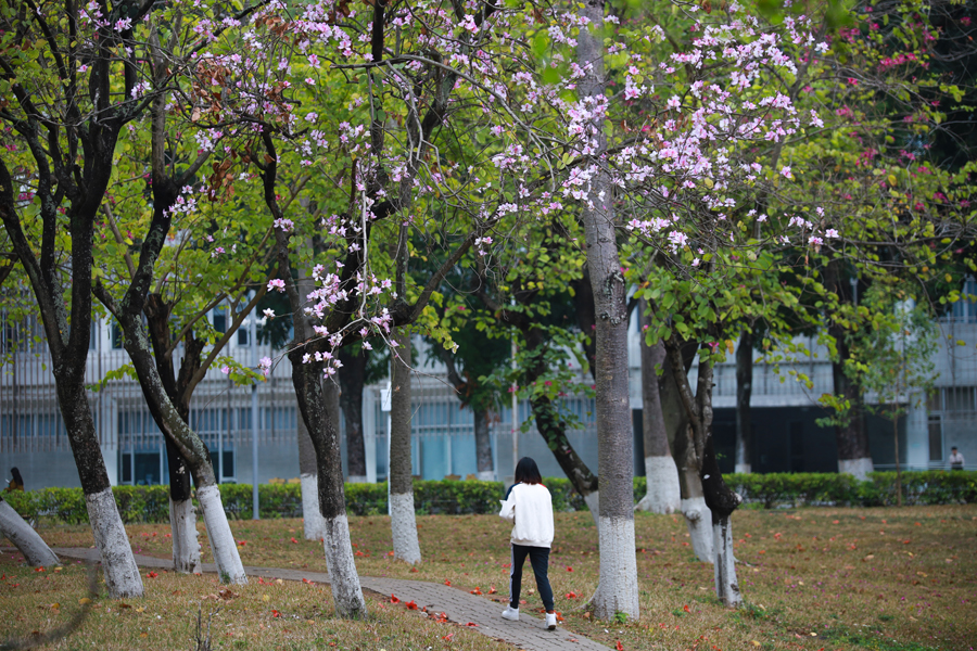 汕大理学院赖忠平教授课题组在地球气候动力学领域又取得重要进展