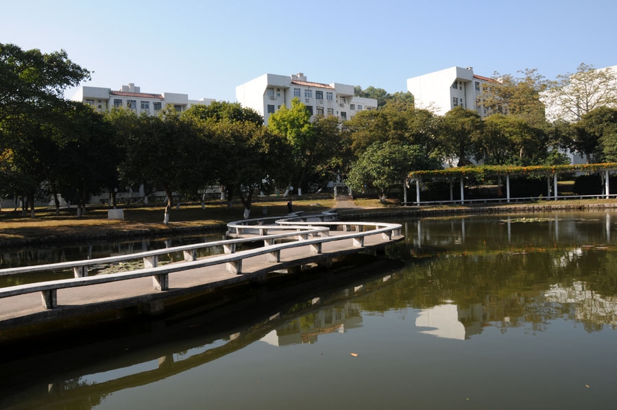 汕大理学院王振教授团队在“新型污染物的生态效应与健康风险研究”取得新进展