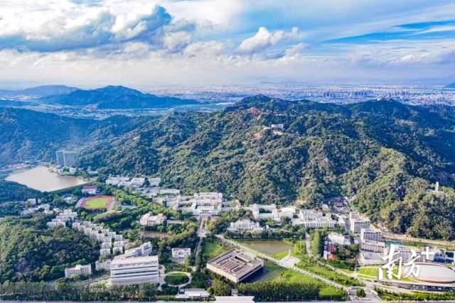 1 南方+ 张晓宜 拍摄