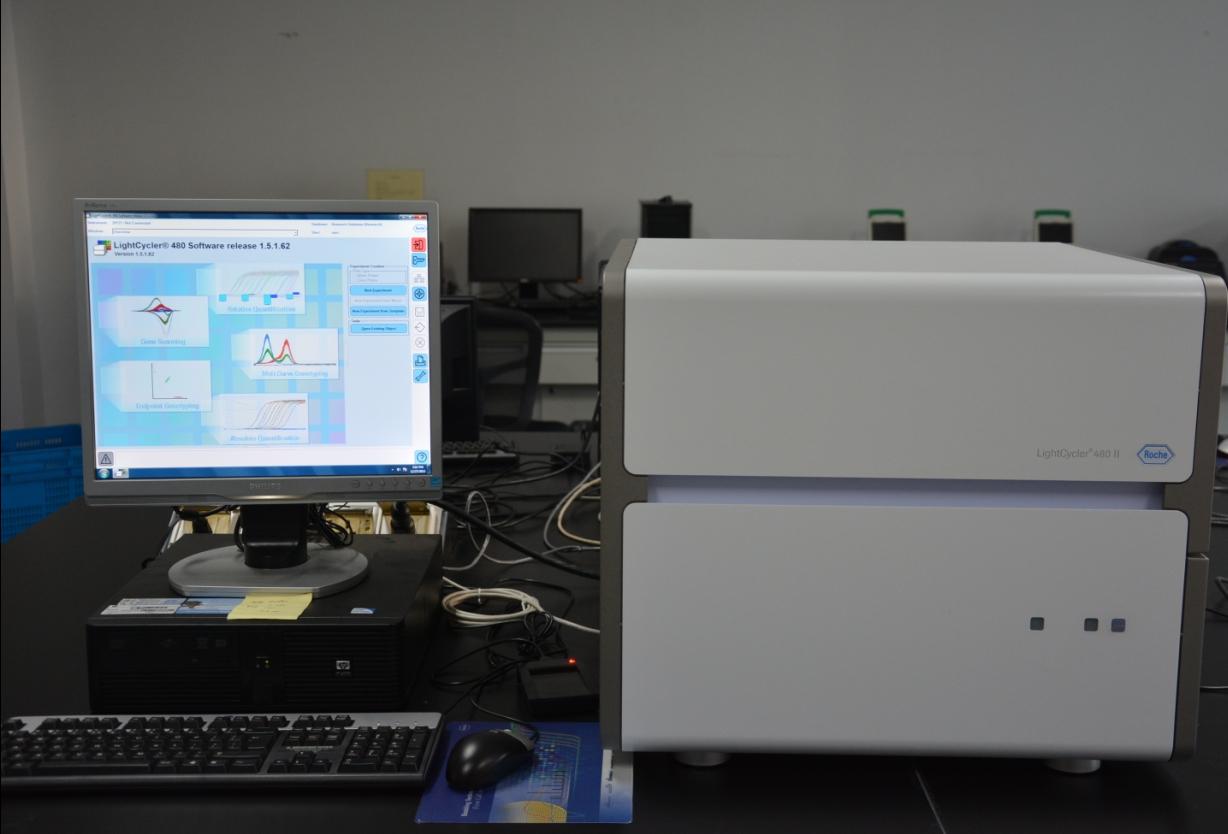 荧光定量pcr系统lightcycler 480ii